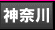�_�ސ� �f���w��