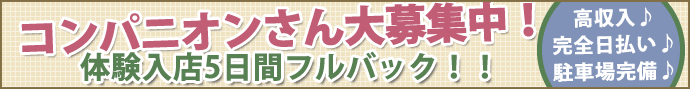 コンパニオンさん大募集中です!